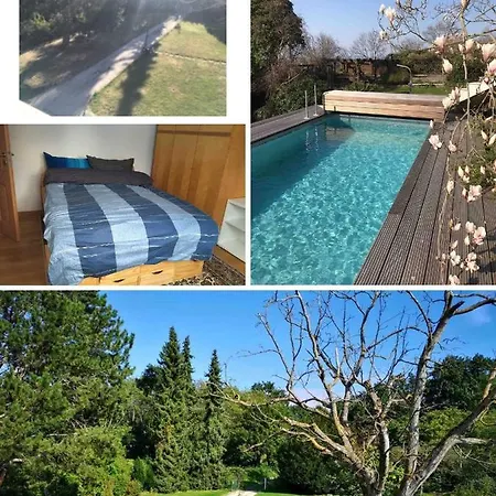 Apartman Doppelzimmer Mit Neuem Bad Und Sportpool-nutzung Aussen, Naturpark, Garten Mit Rheinblick