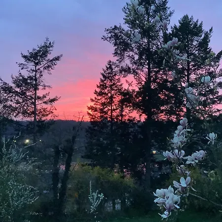 Doppelzimmer Mit Neuem Bad Und Sportpool-nutzung Aussen, Naturpark, Garten Mit Rheinblick קובלנץ