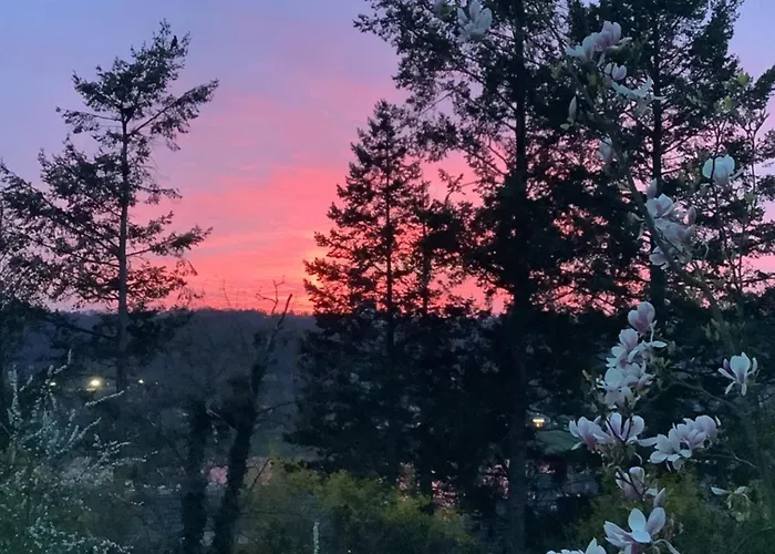 Doppelzimmer Mit Neuem Bad Und Sportpool-nutzung Aussen, Naturpark, Garten Mit Rheinblick Koblenz (Rhineland-Palatinate)